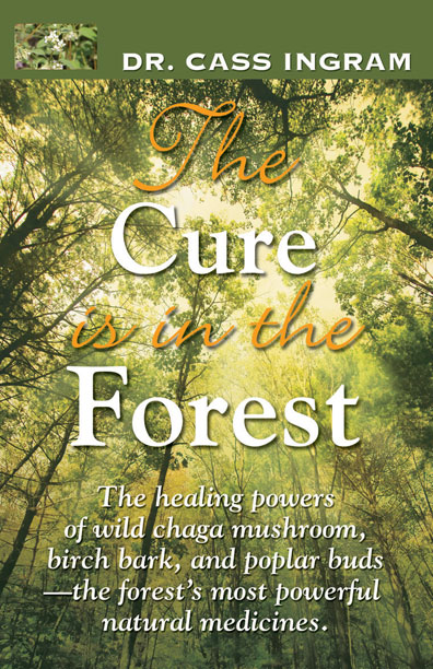 the-cure-is-in-the-forest
